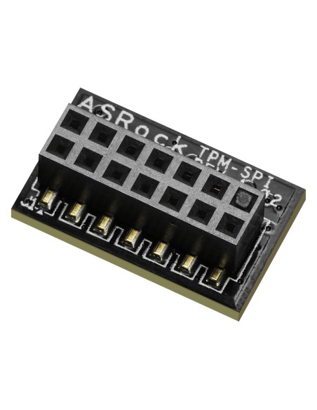 Asrock 90-MCA080-00UBNZ módulo de plataforma de confianza (TPM) SPI