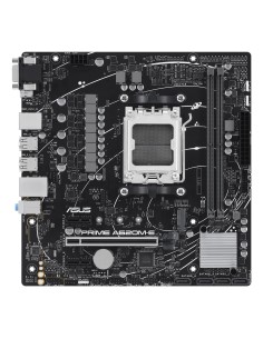 ASUS PRIME A620M-E-CSM AMD A620 Zócalo AM5 micro ATX 2