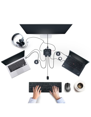 StarTech.com C2-D46-UC2-CBL-KVM interruptor KVM Negro