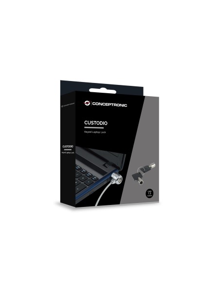 Conceptronic CNBSLOCK15 cable antirrobo Plata 1,5 m