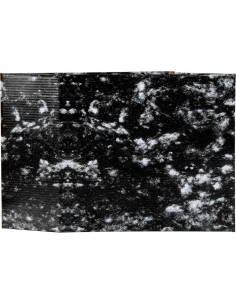 Liderpapel CZ04 caja archivador Negro, Blanco Cartón 2