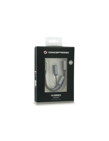 Conceptronic HUBBIES01G hub de interfaz USB 3.2 Gen 2 (3.1 Gen 2) Type-C 5000 Mbit s Gris
