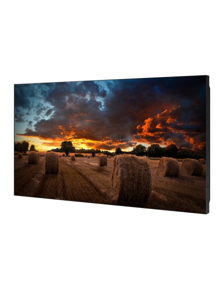 Samsung VM46B-U LCD Interior