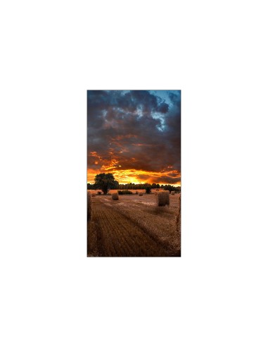 Samsung VM46B-U LCD Interior