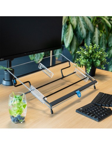 R-Go Tools Portadocumentos R-Go Flex Read, ergonómico, con reposamuñecas de espuma blanda, acrílico transparente