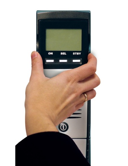 Riello Sentinel Dual sistema de alimentación ininterrumpida (UPS) 1,5 kVA 1350 W 8 salidas AC