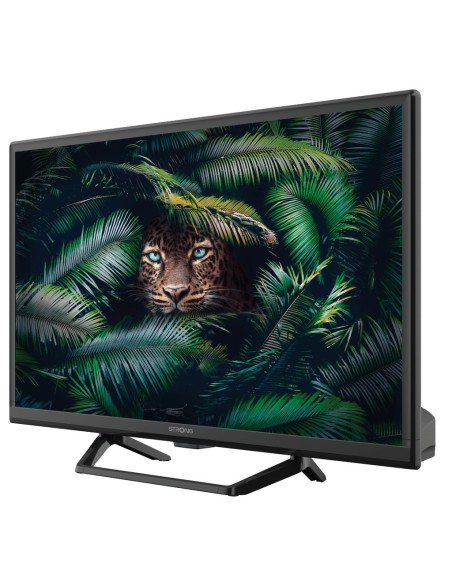 Strong SRT 24HE4023C 61 cm (24") HD Negro 180 cd   m²