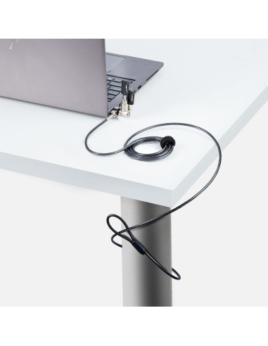 StarTech.com Cable de 2m Universal de Seguridad para Ordenador Portátil - Cable de Bloqueo Compatible con Noble