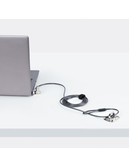 StarTech.com Cable de 2m Universal de Seguridad para Ordenador Portátil - Cable de Bloqueo Compatible con Noble