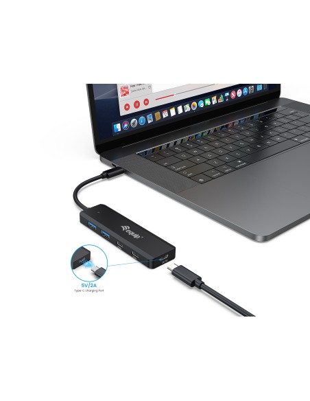 Equip 128964 hub de interfaz USB 3.2 Gen 1 (3.1 Gen 1) Type-C 5000 Mbit s Negro