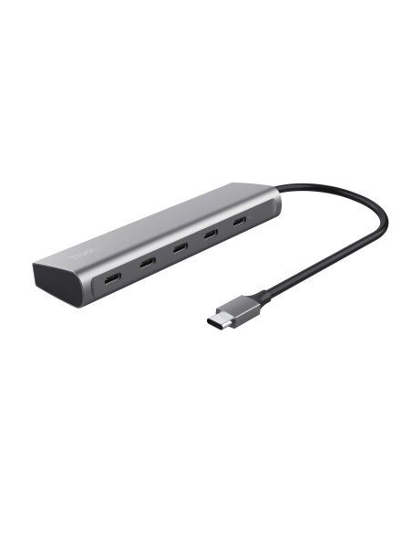 Trust Halyx USB 3.2 Gen 1 (3.1 Gen 1) Type-C Plata