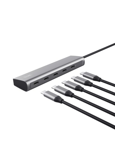 Trust Halyx USB 3.2 Gen 1 (3.1 Gen 1) Type-C Plata