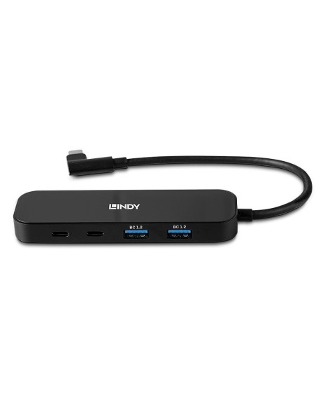 Lindy 43334 hub de interfaz USB 3.2 Gen 2 (3.1 Gen 2) Type-C 10000 Mbit s Negro