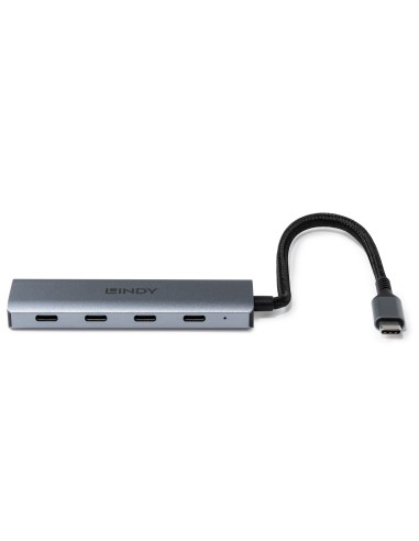 Lindy 43414 hub de interfaz USB 3.2 Gen 2 (3.1 Gen 2) Type-C 10000 Mbit s Gris