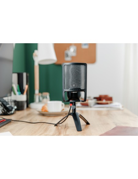 CHERRY UM POP FILTER