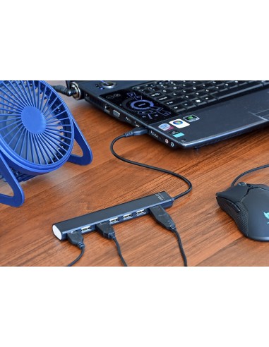 Gembird UHB-U2P7-04 hub de interfaz USB 2.0 Negro