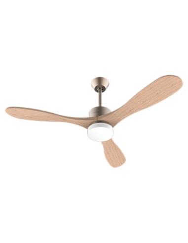 Cecotec 05983 ventilador Oro