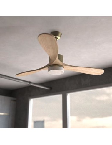 Cecotec 05983 ventilador Oro