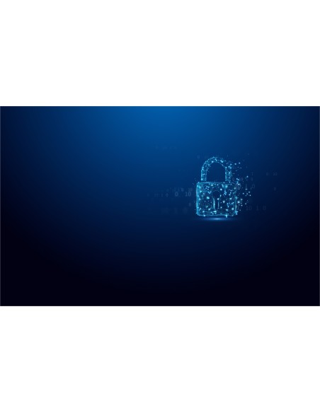 Kingston Technology IronKey 64GB USB-C Vault Privacy 50C cifrado AES-256, FIPS 197