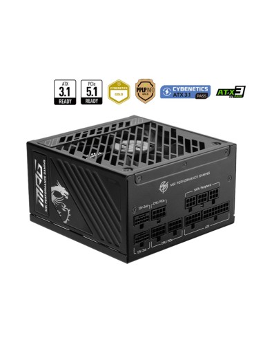 MSI MPG A1250GS PCIE5 unidad de fuente de alimentación 1250 W 20+4 pin ATX ATX Negro