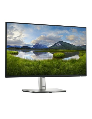 DELL P Series P2425HE pantalla para PC 60,5 cm (23.8") 1920 x 1080 Pixeles Full HD LCD Negro