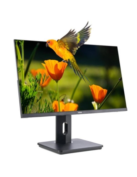 Nilox Monitor de 24" Regulable, Full HD, HDMI, DP y VGA