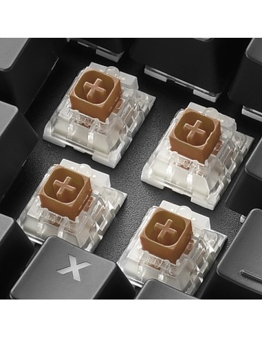 Sharkoon SKILLER SGK60 teclado Juego USB QWERTY Español Negro