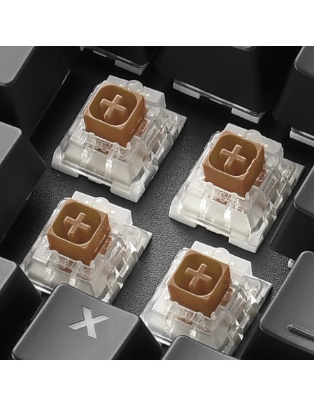 Sharkoon SKILLER SGK60 teclado Juego USB QWERTY Español Negro