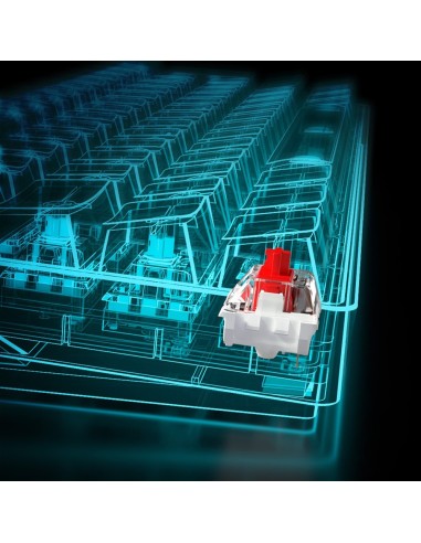 Sharkoon SGK50 S4 teclado Juego USB QWERTY Portugués Negro