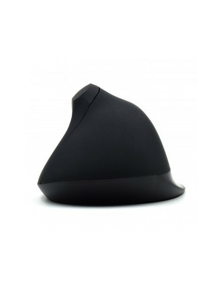 Ewent EW3157 ratón Oficina mano derecha USB tipo A Óptico 1800 DPI