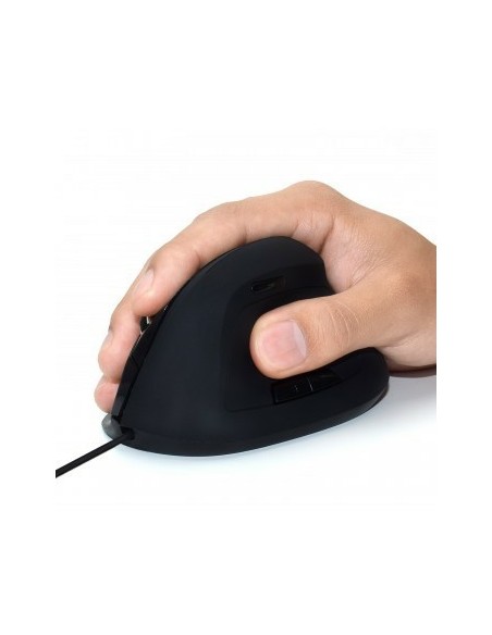 Ewent EW3157 ratón Oficina mano derecha USB tipo A Óptico 1800 DPI