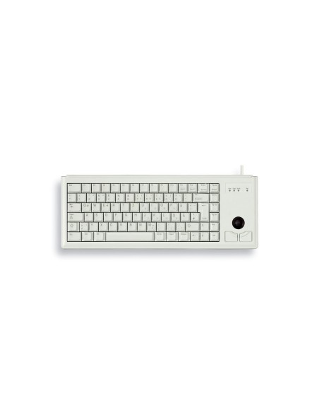 CHERRY G84-4420 teclado USB Internacional de EE.UU. Gris