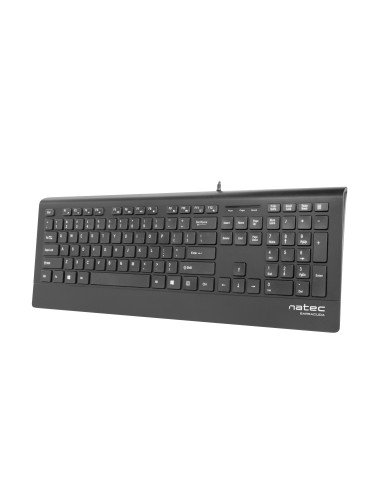 NATEC Barracuda teclado Universal USB QWERTY Español Negro