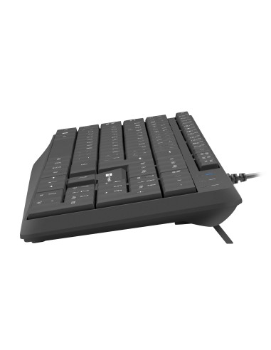 NATEC NKL-1948 teclado Universal USB QWERTY Español Negro