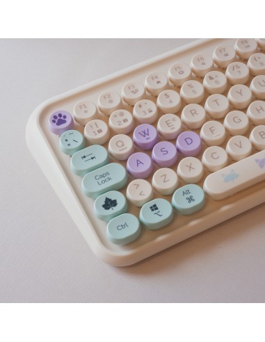 TANOOKI PC Pack Keyboard + Mouse