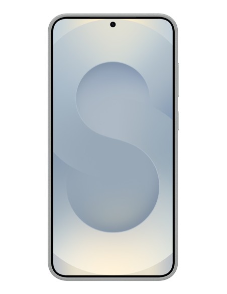 Samsung EF-VS936PJEGWW funda para teléfono móvil 17 cm (6.7") Gris claro