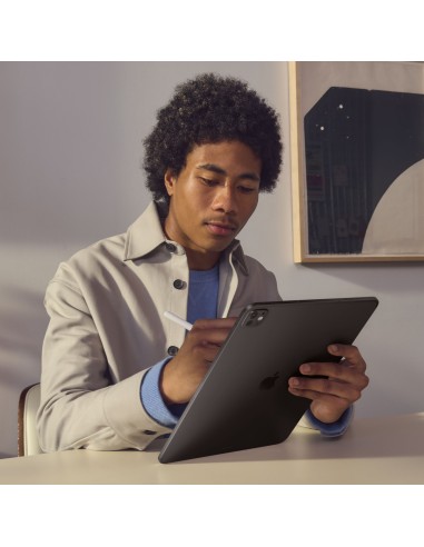 Apple iPad Pro 5G Apple M TD-LTE & FDD-LTE 256 GB 27,9 cm (11") 8 GB Wi-Fi 6E (802.11ax) iPadOS 17 Plata