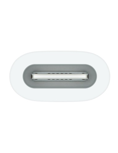 Apple USB-C to Pencil Adapter Blanco 1 pieza(s)