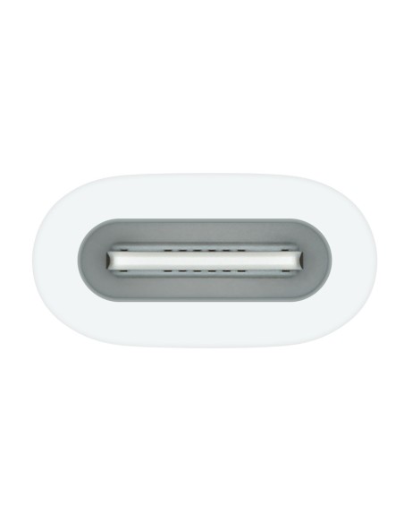 Apple USB-C to Pencil Adapter Blanco 1 pieza(s)