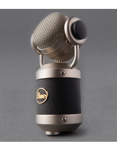 Blue Microphones mouse Negro Micrófono de estudio