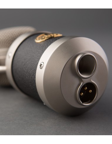 Blue Microphones mouse Negro Micrófono de estudio