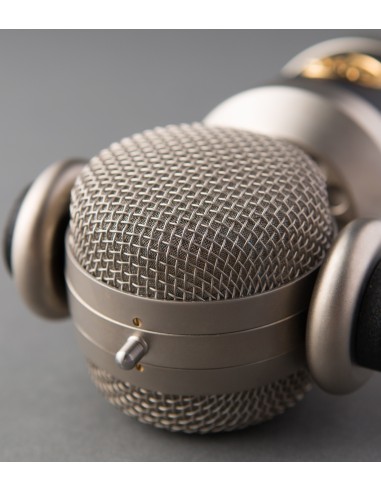 Blue Microphones mouse Negro Micrófono de estudio