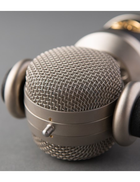 Blue Microphones mouse Negro Micrófono de estudio