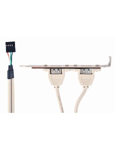 Gembird Bracket conexión doble USB a placa base