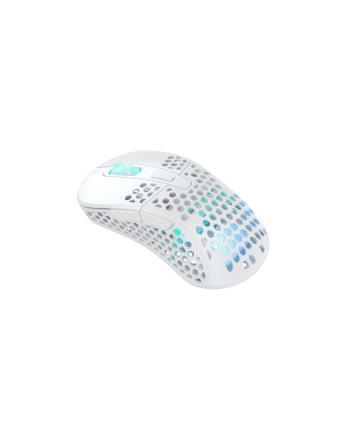 CHERRY XTRFY M4 RGB ratón Juego mano derecha RF Wireless + USB Type-C Óptico 19000 DPI