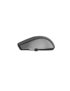 Gembird MUSW-4B-04-GB ratón Oficina Ambidextro RF inalámbrico Óptico 1600 DPI 2