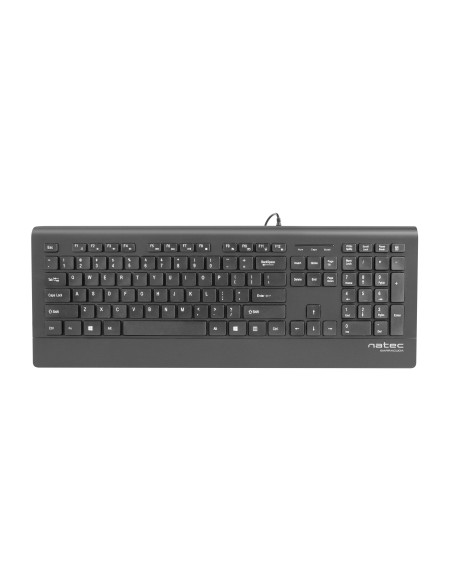 NATEC Barracuda teclado Universal USB QWERTY Español Negro