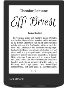 PocketBook Verse lectore de e-book 8 GB Wifi Negro, Plata 2