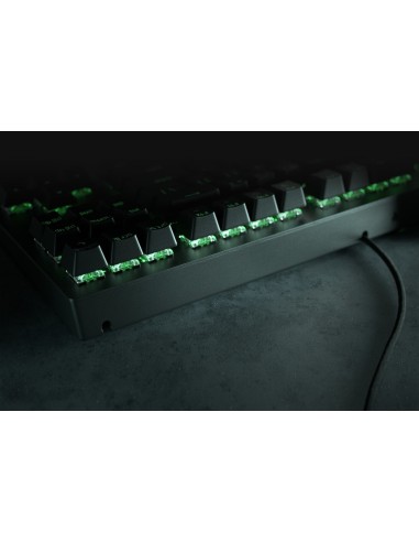 Razer Blackwidow V3 Tenkeyless - Yellow Switch - ES teclado Juego USB Español Negro