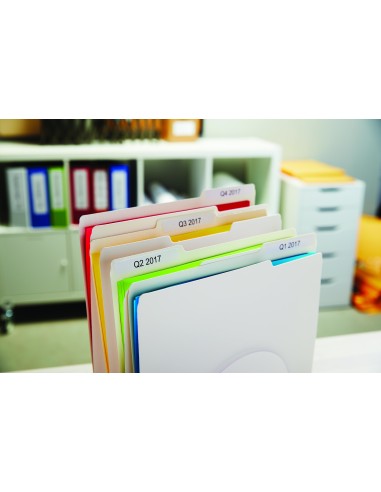 DYMO LW - Etiquetas para archivadores suspendidos - 12 x 50 mm - S0722460